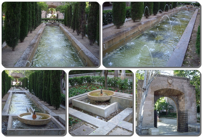 Palma_03.jpg